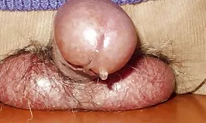 Brand nuovo spectacular Pompino Per pagato cazzo donne mature nonne