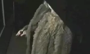 Cagna Fanculo giovane uomo coming fuori di il cabin con brand mature nonne nuovo